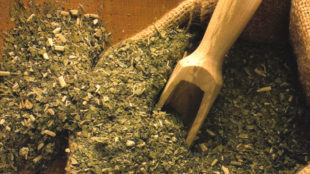 Yerba Mate