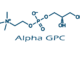 Alpha GPC